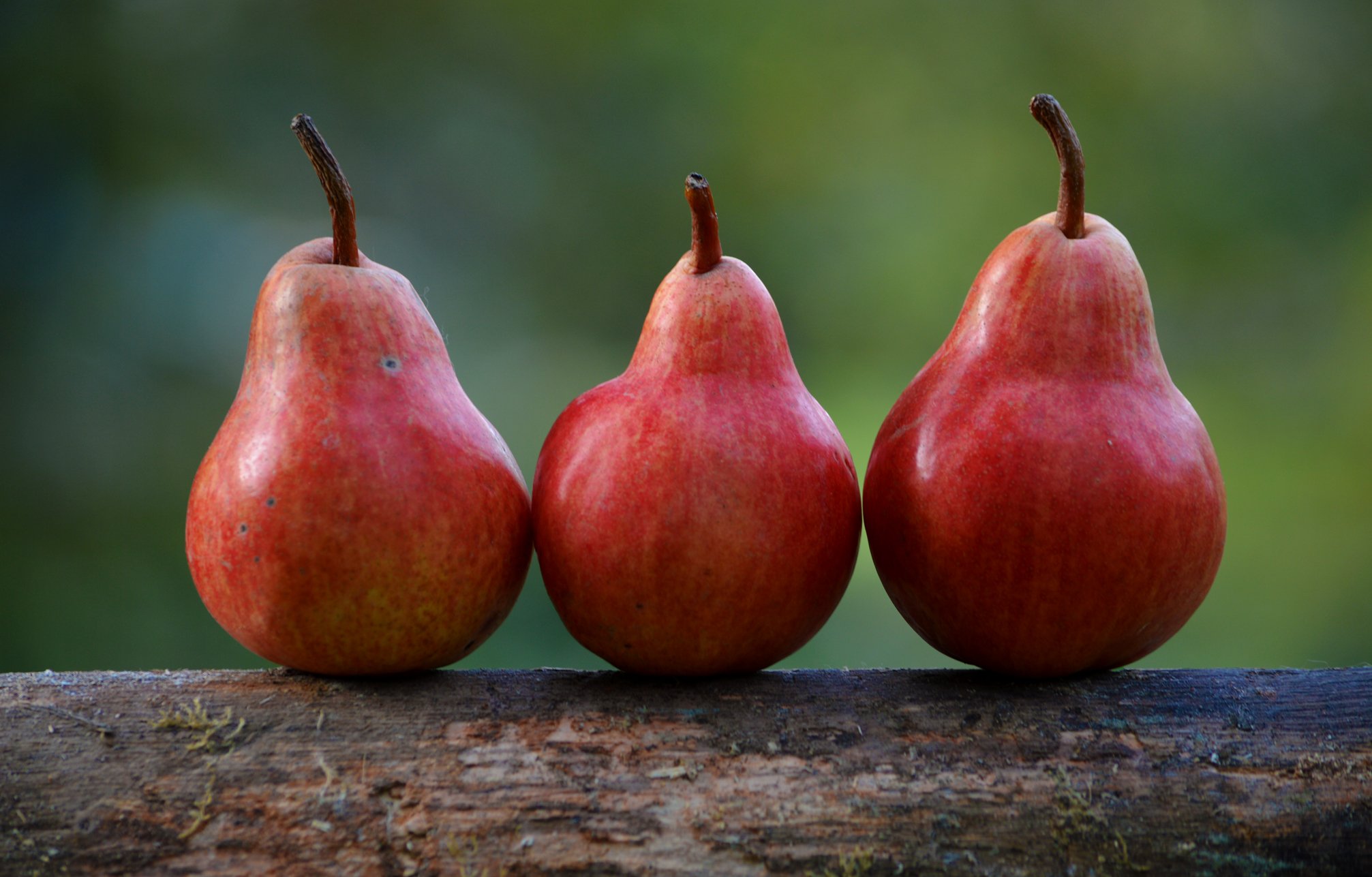 nutrition to support fertility